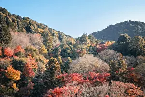 Autumnal Prints: Kiyomizu-dera Buddhist Temple garden and Koyasunoto Pagoda in autumn