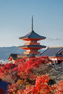 Autumnal Prints: Kiyomizu-dera Buddhist temple and Sanjunoto three Story Pagoda with autumn color