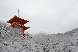 Kiyomizu-dera Temples pagoda hiding behind snow-covered trees, UNESCO World Heritage Site