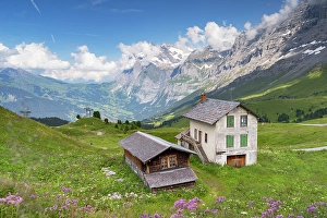 Swiss Prints: Kleine Scheidigg, Jungfrau Region, Bernese Oberland, Switzerland