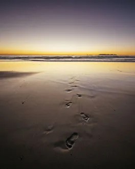 Footprint Prints: Kogel Bay, Western Cape, South Africa, Africa