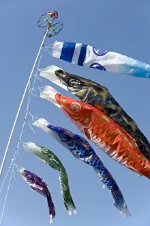 Images Dated 28th April 2009: Koinobori, or carp streamers, are seen throughout Japan around Childrens Day