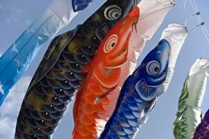 Images Dated 28th April 2009: Koinobori, or carp streamers, seen throughout Japan around Childrens Day