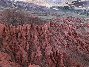 Local Flora Prints: Kok-Moinok Canyon, a clay-sand structure formed on the slopes of arid mountains cut by water streams