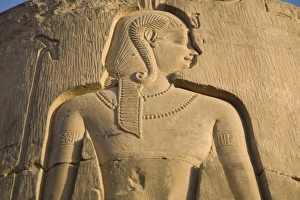 Images Dated 25th February 2007: Kom Ombo temple detail, Egypt, North Africa, Africa