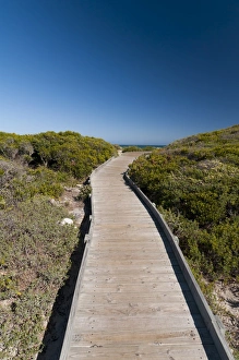 Images Dated 23rd April 2010: Kommetjie beach, Cape Town, South Africa, Africa