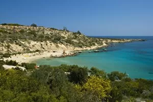 Shrub Collection: Konnos Beach, Protaras, Cyprus, Mediterranean, Europe