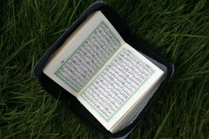 Images Dated 20th March 2000: Koran, Le Souillard, Eure, France, Europe