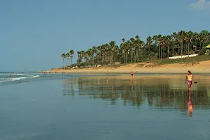 West Africa Prints: Kotu Beach, Gambia, West Africa, Africa