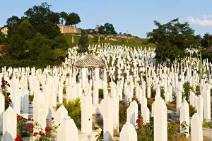 Images Dated 11th August 2010: Kovaci War Cemetery with gravestone of first president of Bosnia and Herzegovina