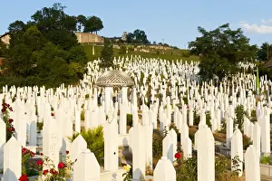 Large Group Prints: Kovaci War Cemetery with gravestone of first president of Bosnia and Herzegovina