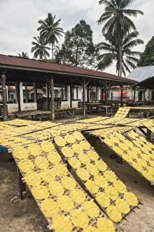 Krupuk (Kroepoek) drying in the sun, Bukittinggi, West Sumatra, Indonesia, Southeast Asia
