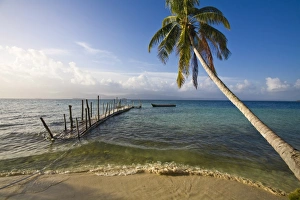 Images Dated 18th January 2008: Kuanidup Grande, San Blas Islands, Comarca de Kuna Yala, Panama, Central America