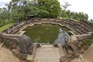Polonnaruwa Prints: Kumara Pokuna, Royal Pond of King Parakramabahu