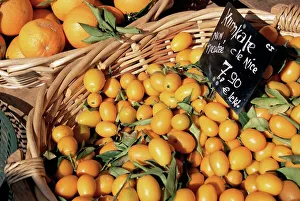 Trading Prints: Kumquats for sale on the market in Cours Saleya, Nice, Alpes Maritimes