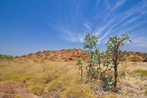 Images Dated 30th September 2008: Kundjarra (the Pebbles) granite boulders, Northern Territory, Australia, Pacific