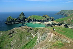 Walk Way Prints: Kynance Cove from the cliffs, south Cornwall, England, UK