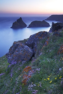 Kynance Cove, The Lizard, Cornwall, England, United Kingdom, Europe