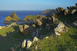 Kynance Cove, The Lizard, Cornwall, England, United Kingdom, Europe