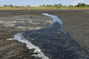 Trinidad Prints: La Brea Pitch Lake, natural lake of tar rising from below with crust that can be walked