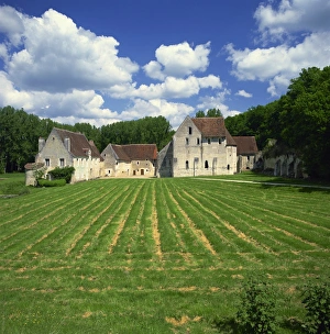 Loire Prints: La Corroierie near Montresor, Anjou, Loire, Centre, France, Europe