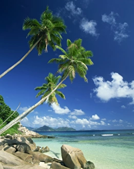 Palm Prints: La Digue with Praslin island in background