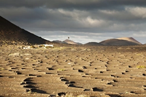 Lava Prints: La Geria, Lanzarote, Canary Islands, Spain, Atlantic, Europe