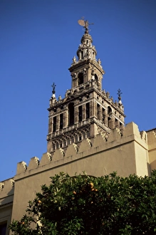 Giralda Prints: La Giralda and orange trees
