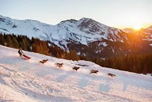 Pulling Prints: La Grande Odyssee, international sled dog race