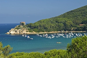 Elba Prints: La Guardiola, Procchio, Isola d Elba, Elba, Tuscany, Italy, Europe