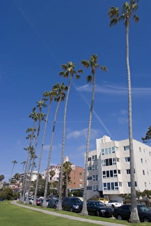 La Jolla Prints: La Jolla, near San Diego