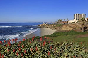 La Jolla, San Diego, California, United States of America, North America