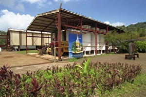Martinique Prints: La Mauny Distillery, Martinique, West Indies, Caribbean, Central America
