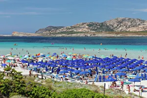 Sun Lounger Prints: La Pelosa beach, Gulf of Asinara