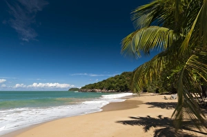 Guadeloupe Prints: La Perle Beach, Deshaies, Basse-Terre