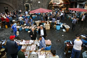 Stall Prints: La Pescheria, Catainas fish market, Catania, Sicily, Italy, Europe