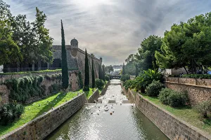 Flock Of Birds Prints: La Riera channel, Palma, Mallorca, Balearic islands, Spain, Mediterranean, Europe