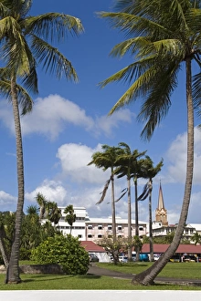 Martinique Prints: La Savane Park