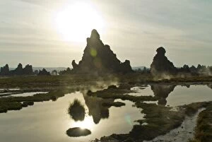 Images Dated 27th December 2006: Lac Abbe (Lake Abhe Bad) with its chimneys, Republic of Djibouti, Africa