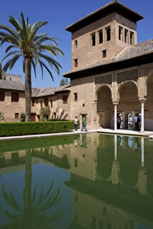 Water Feature Prints: Ladies Tower, Partal Palace, Alhambra Palace, UNESCO World Heritage Site