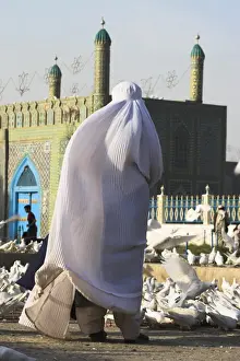 Lady in burqa feeding the famous white pigeons at the shrine of Hazrat Ali