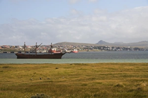 Images Dated 3rd March 2009: The Lady Elizabeth, an old sailing ship that ran aground, Port Stanley