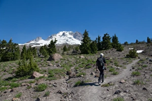 Weekend Activities Prints: Lady hiker walking on a trail on Mount Hood
