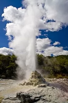 Images Dated 8th November 2008: Lady Knox Geyser, Wai-O-Tapu Thermal Wonderland, North Island, New Zealand, Pacific