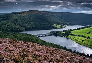Connections Prints: Ladybower Reservoir and Win Hill in summer from heather clad Derwent Edge