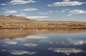 El Calafate Prints: Lago Argentino, El Calafate, Patagonia, Argentina, South America