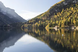 Belluno Prints: Lago di Alleghe in the Dolomites, Belluno, Veneto, Italy, Europe