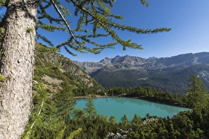 Province Of Sondrio Prints: Lago Lagazzuolo surrounded by woods, Chiesa In Valmalenco, Province of Sondrio, Valtellina