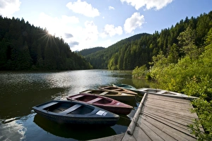 Images Dated 19th June 2008: Lago Rosso, Romania, Europe