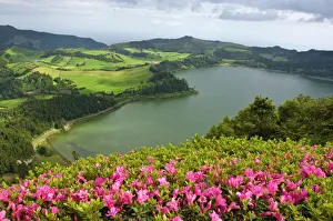 Flowers Prints: Lagoa das Furnas crater in Furnas, San Miguel, Azores, Portugal, Europe